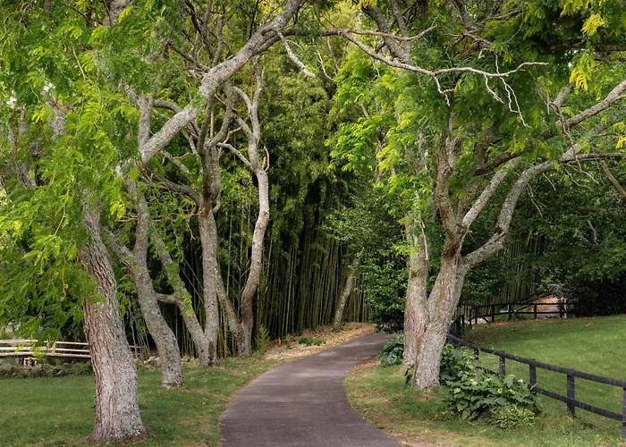 Hana Rotorua