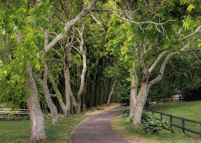 Hana Rotorua